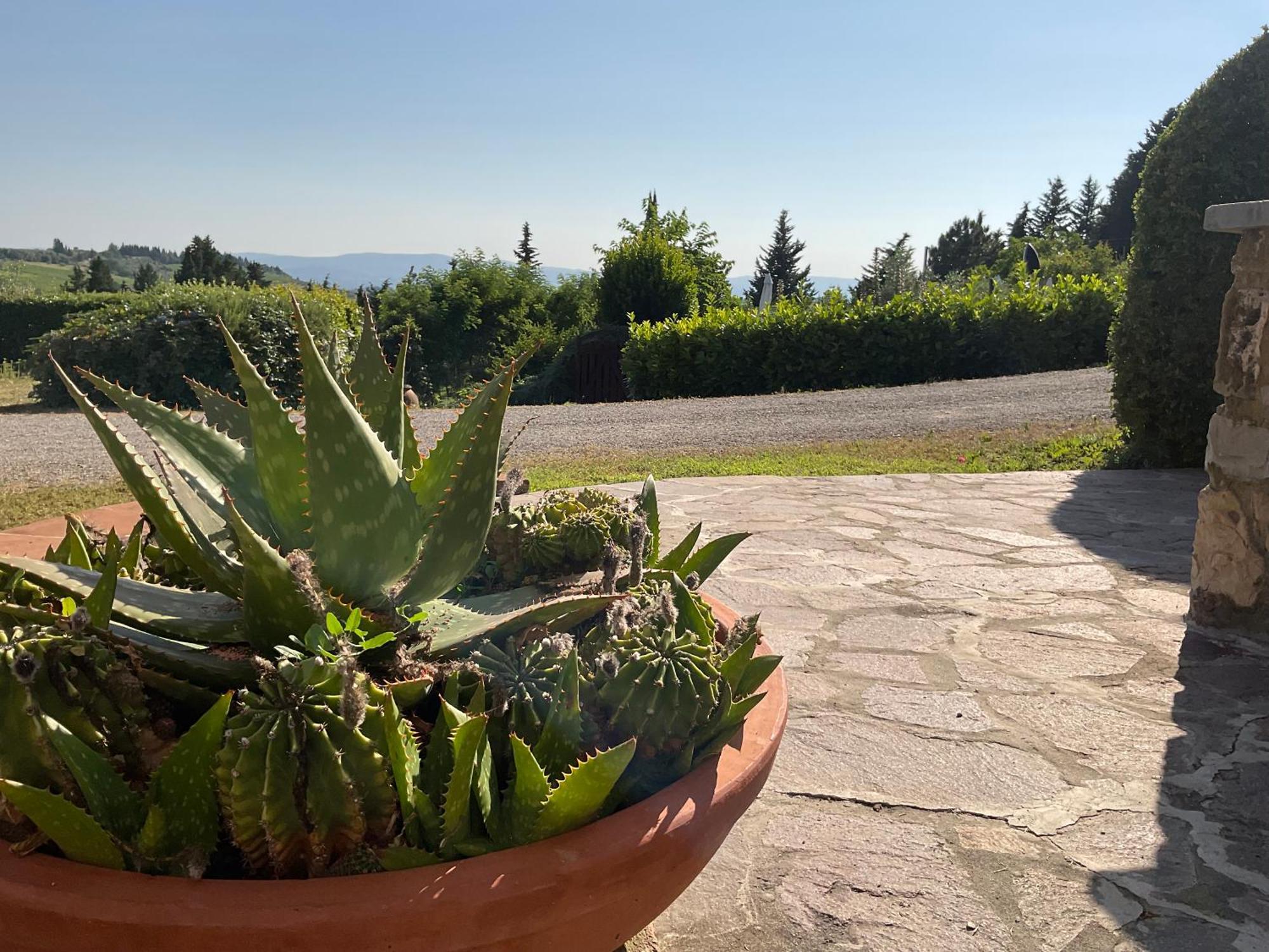 Villa Il Borraccio Tavarnelle Val di Pesa Luaran gambar